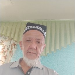 , 66, 