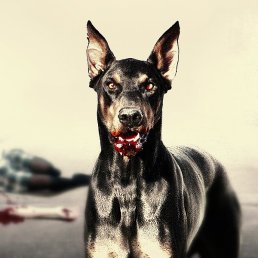 �������, ������, 37 ���