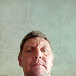 , 43 , 