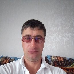 , 38, 