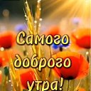 ���� ��������, ������ - ��������� 8 ��� 2025 � ������ ������