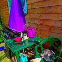  ,   -  23  2024    . -. 