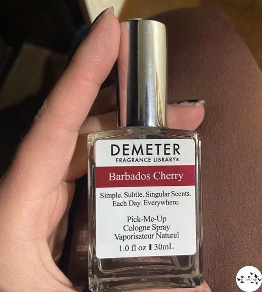 ���� ����� ����� � ������� - 5