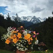 ALi, 33 ����, ����-���