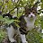 ���� ����, ������, 59 ��� - ��������� 1 ������� 2026