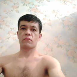���� ����, �����, 44 ���� - ��������� 6 ������ 2024