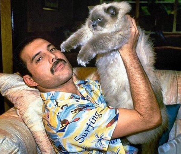 Freddie Mercury � ��� �����, ����� �� ������ ������� �� �������� ����� - 3