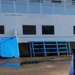 �������, ����������, 51 ���