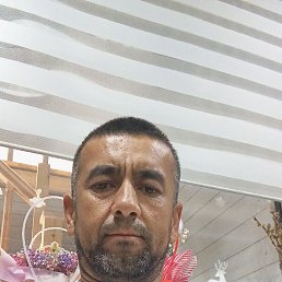 , 37, 