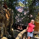 ���� �����, �������, 43 ���� - ��������� 19 ������ 2025 � ������ ���� ����������