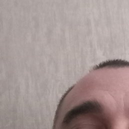 ���, ������, 46 ���