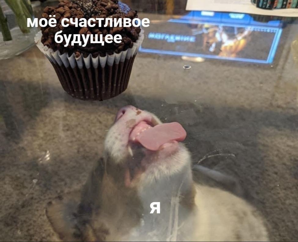    - 17  2024  02:34
