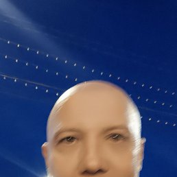 ���� ��������, ���������, 48 ��� - ��������� 21 ������� 2026