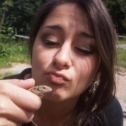 ���������, ������, 24 ����