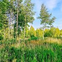 ���� �������, �������� - ��������� 30 ���� 2026 � ������ �������