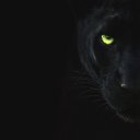 ���� ��������, ������, 49 ��� - ��������� 11 ������� 2023 � ������ ���� ����������