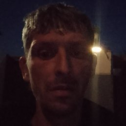 ������, ���������, 41 ���