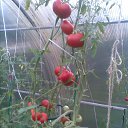 ���� ����, �����, 48 ��� - ��������� 10 ������� 2025 � ������ ������ ��������