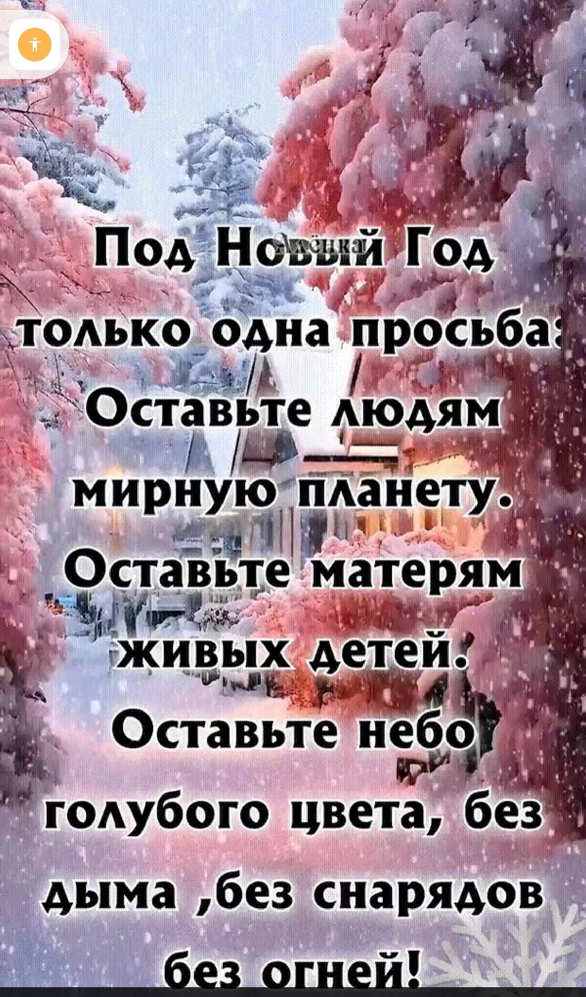   - 24  2024  19:52