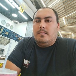, 29, 