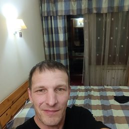 , 41, 