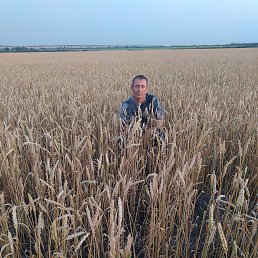 ���� ��������, ������ ��������, 57 ��� - ��������� 28 ������� 2023