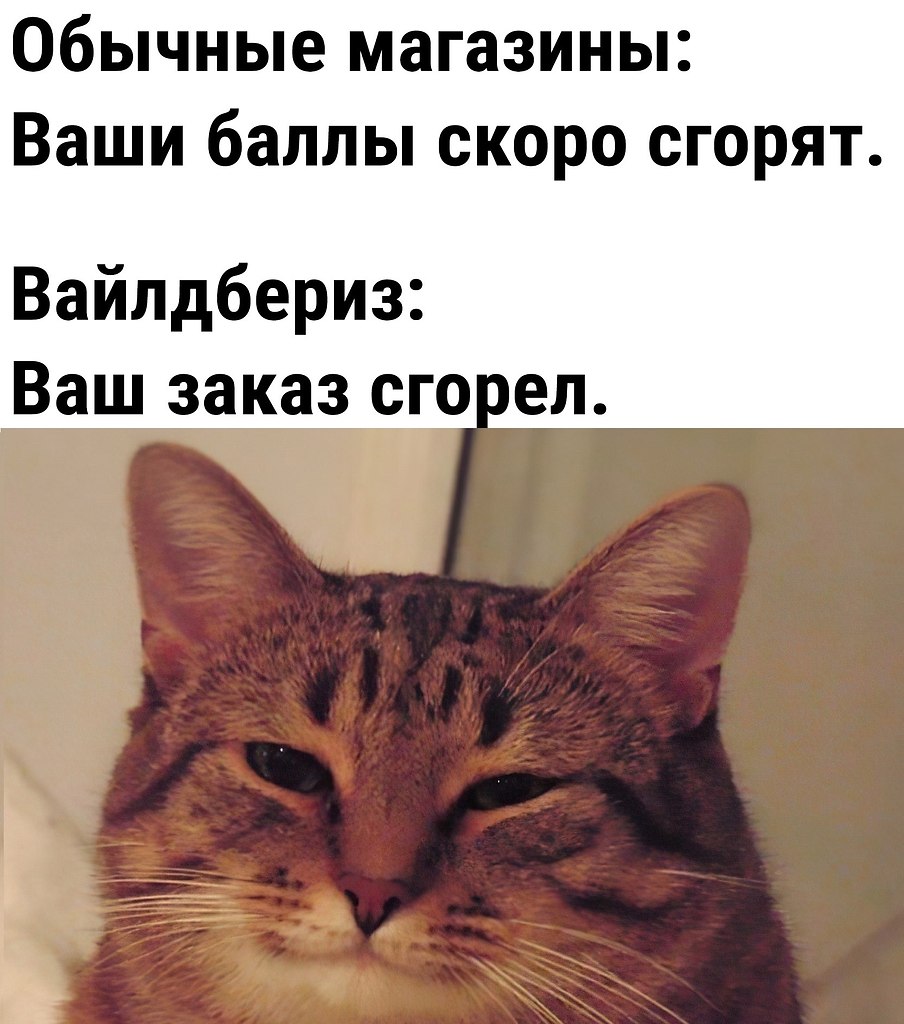 40  - 24  2024  18:38