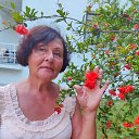  Rina..., , 64  -  1  2024    