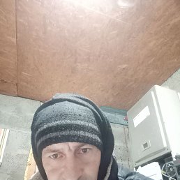  , 49, 