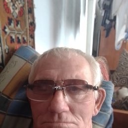 , 44, 