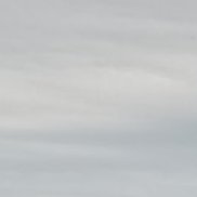 ����, 35 ���, ������