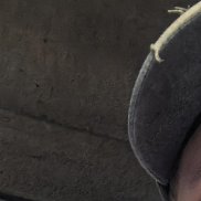 , 33 , -