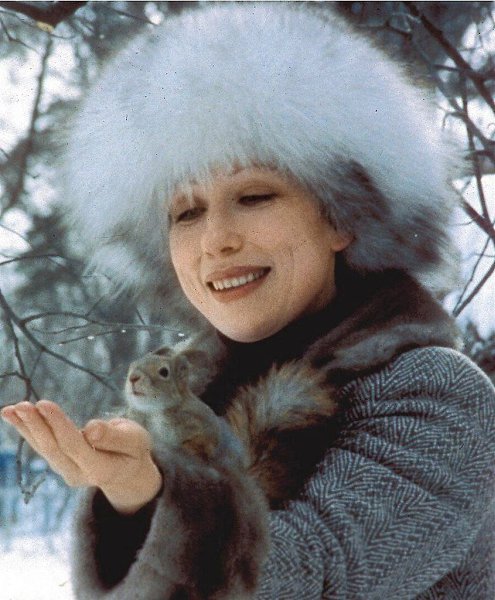   ,     ,    -     , ...