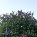 ���� ����, ����, 45 ��� - ��������� 16 ��� 2026 � ������ ���� ����������