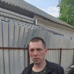 , 43, 