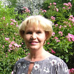 , 61, 