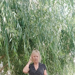 , 58, 