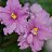 ���� �������, �����������, 52 ���� - ��������� 23 ������ 2026