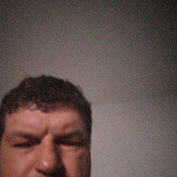 , 35, 