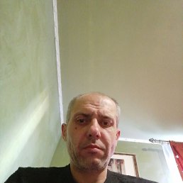 , 41, 
