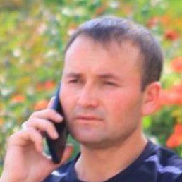 ����, �������, 31 ���