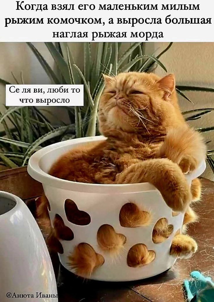 :)