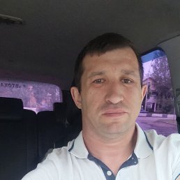 , 42, 