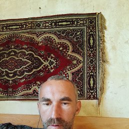  , 37 , 