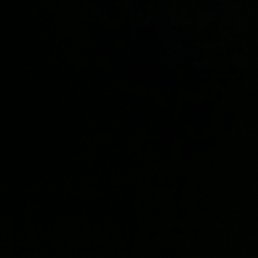 ���� ����, ������, 19 ��� - ��������� 7 ������ 2026