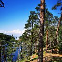 �������! �� ������� ������ ��������