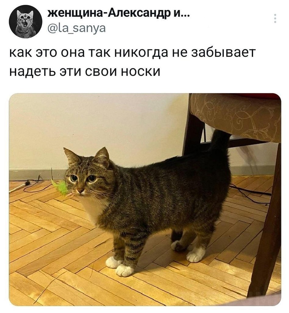 THE DUMP - 25 ������� 2026 � 06:14