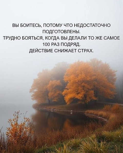  Just Business - 24  2025  13:41 - 3