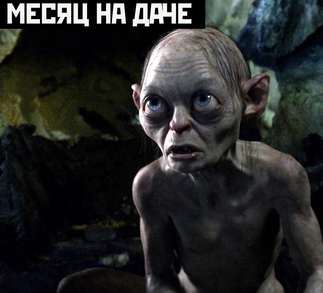 Дачники тута? - 3