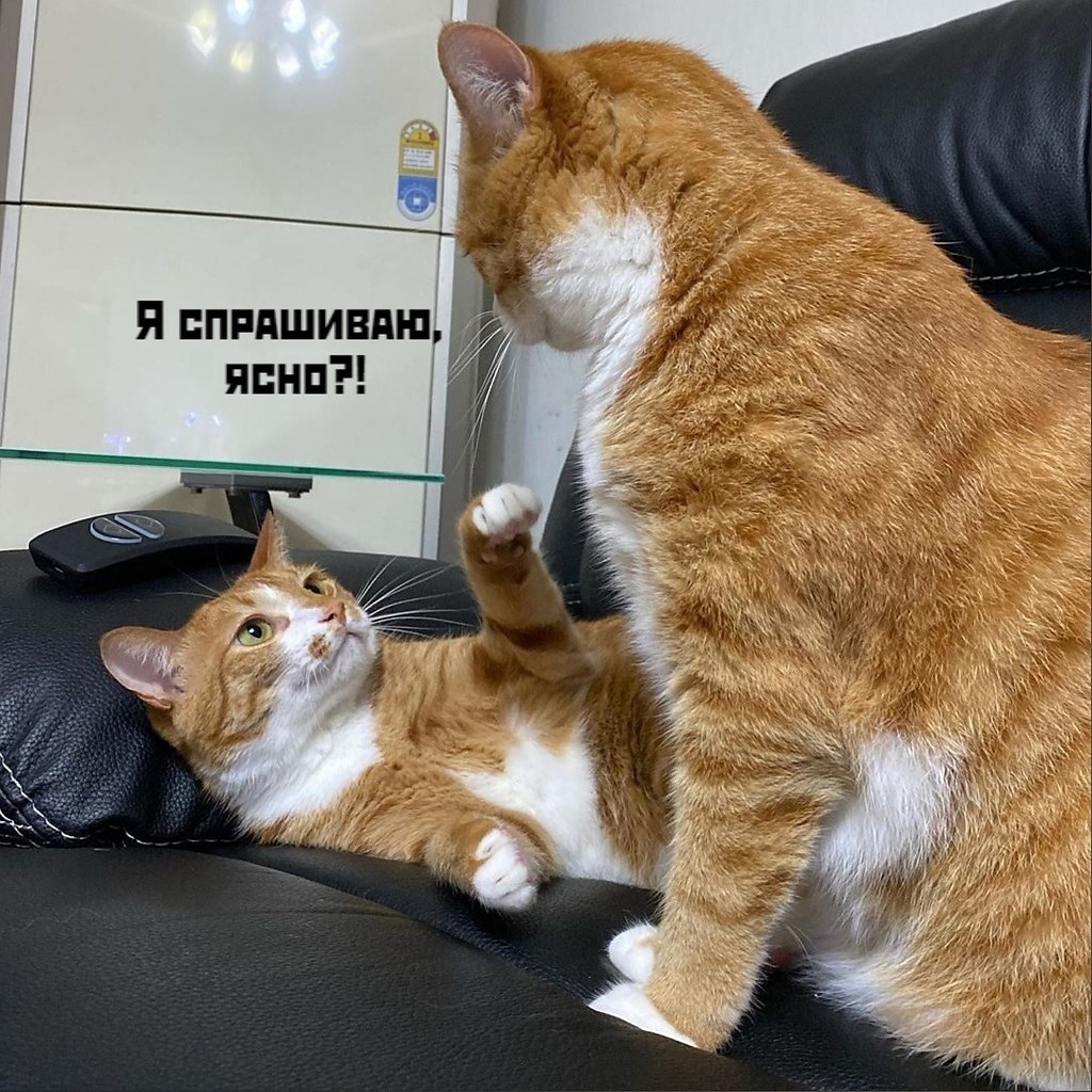     ))) - 3